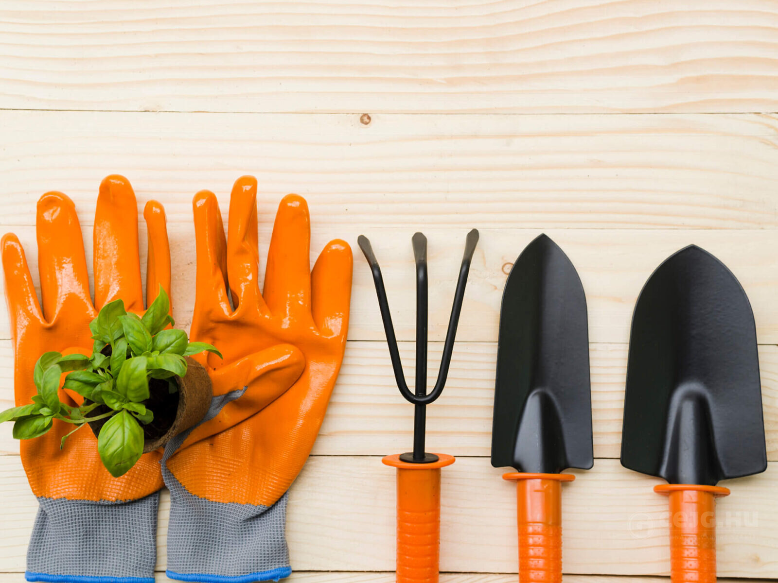 top view gardening tools