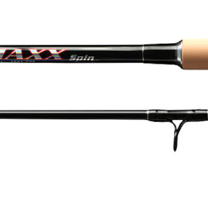 Promaxx Spin 300 60g